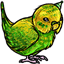 Green Party Parakeet