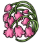 Pink Valley Flower