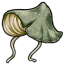 Green Mushroom Cap