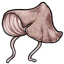 Pink Mushroom Cap