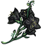 Black Bellflowers