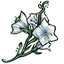 White Bellflowers