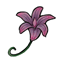 Purple Split Bellflower