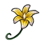 Yellow Split Bellflower
