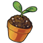 Smol Potted Sprout