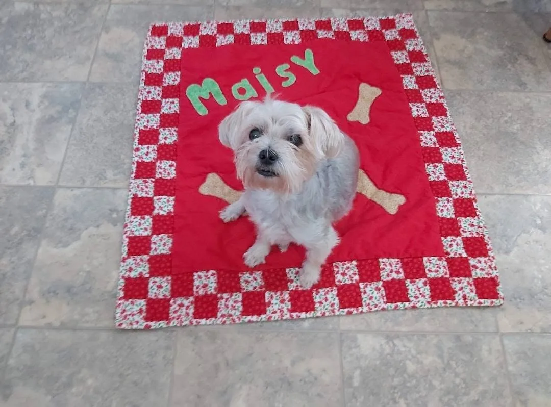 My Doggie Girl Maisy. RIP