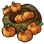 Pumpkin Patch